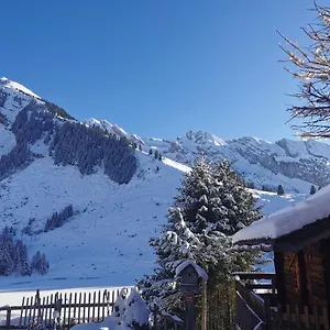 Hotel Du Des Confins La Clusaz